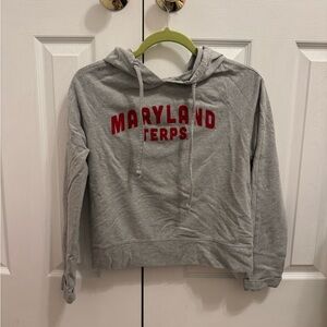 Gray Maryland Terps Hoodie